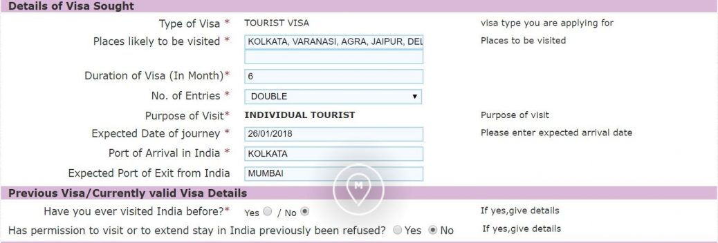 Анкета на индийскую визу 8