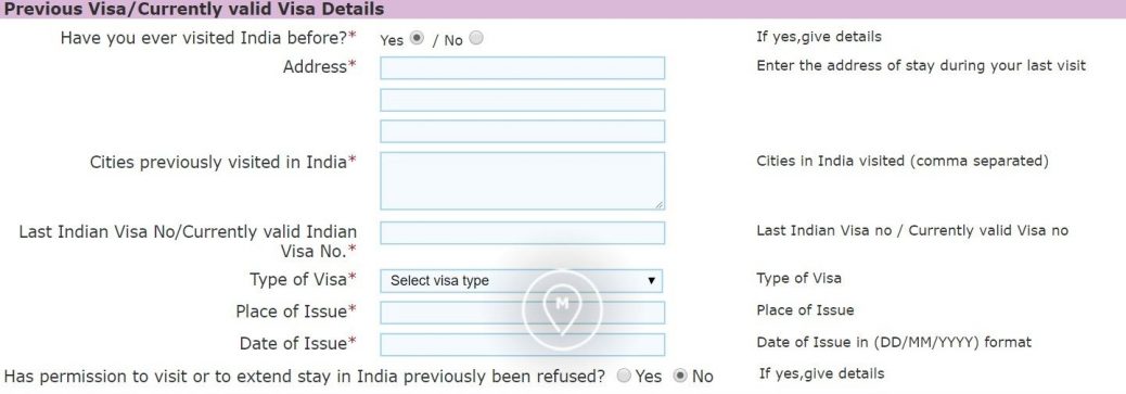 Анкета на индийскую визу 9